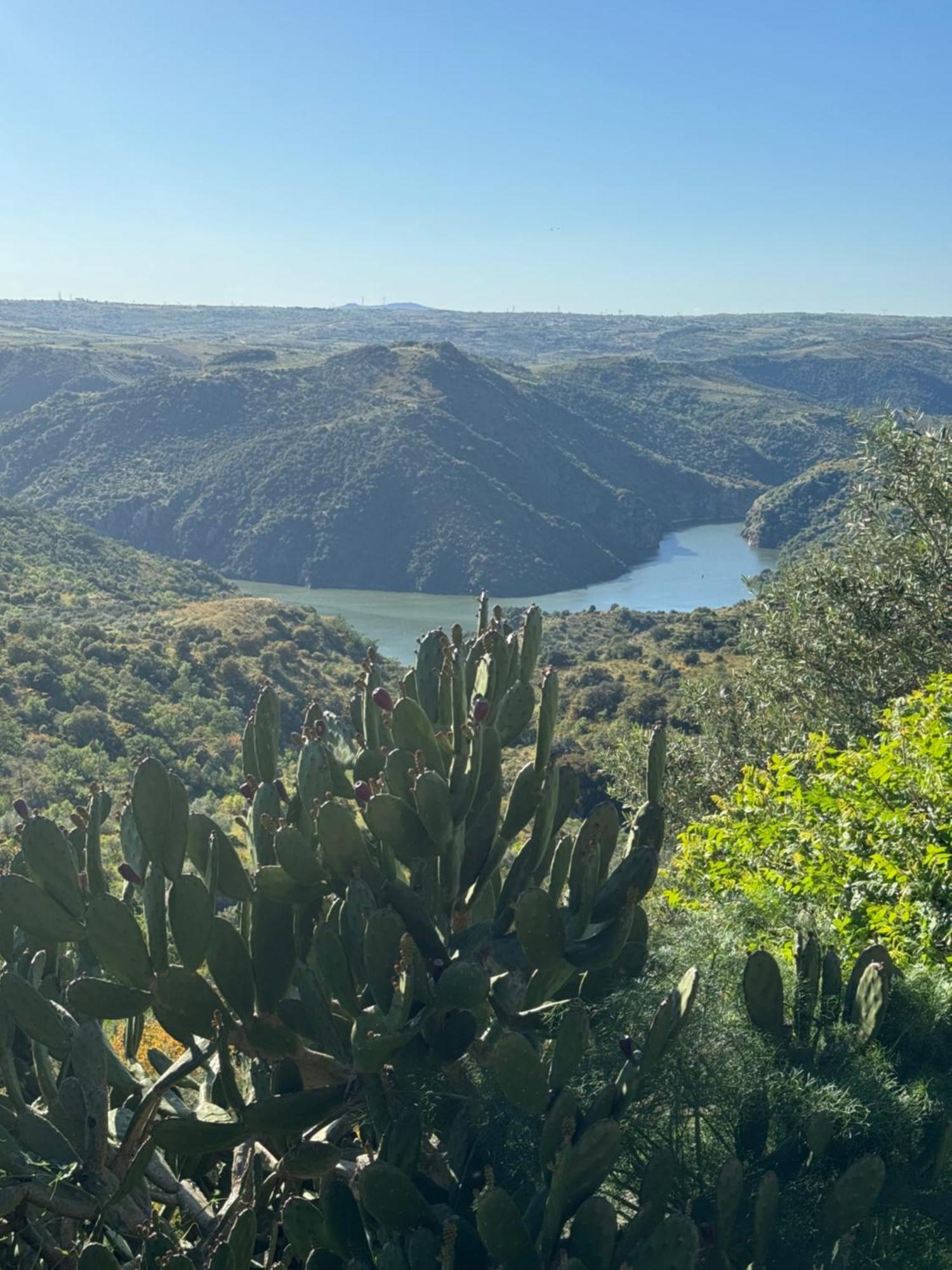 La Casita De Los Arribes Fermoselle Extérieur photo